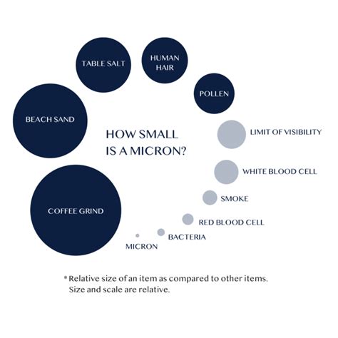 micron  explanation  size comparison infographic aqualeader