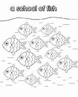 Fish School Pages Collective Coloring Colouring Nouns Fishes Print Getdrawings Noun sketch template