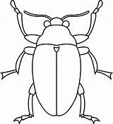 Insect Beetle Bug Tocolor sketch template