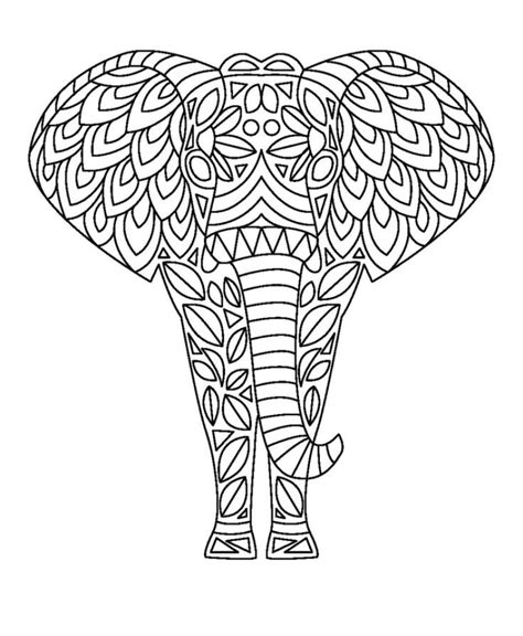 printable elephant coloring pages  adults qer