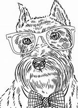 Chien Erwachsene Encantados Adulte Zentangle Malen Colorier Malbögen Cachorros Malbücher Schnauzer Martinchandra sketch template