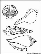 Coloring Pages Sea Seashell Seashells Shells Printable Shell Kids Beach Color Colouring Print Snail Sheets Book Fun Animals Template Bestcoloringpagesforkids sketch template