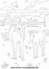Ausmalbilder Pferde Ostwind Pferd Ausmalen Kinder Zahlen Nach Malvorlagen Wiese Malvorlage Drucken Bibi Zwei Freude Kindern sketch template