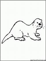 Otter Coloring Drawing Pages River Sea Cartoon Otters Color Clipart Quotes Kids Printable Library Activities Kindergarten Popular Quotesgram Getdrawings Categories sketch template