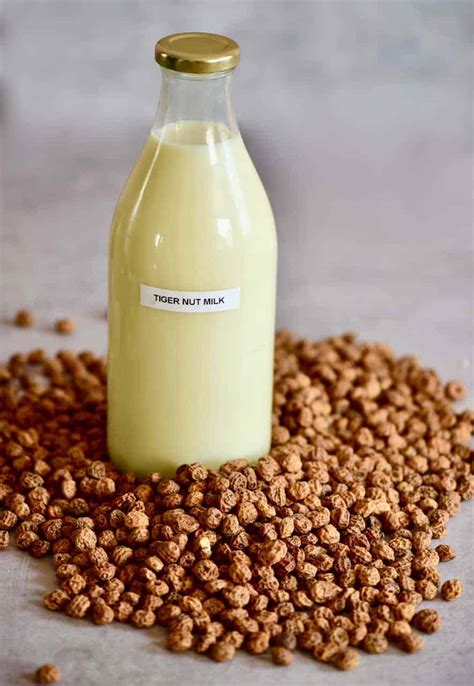 homemade tiger nut milk horchata de chufa alphafoodie