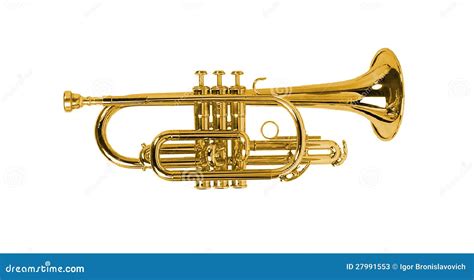 isolated horn stock image image  bugle concert white