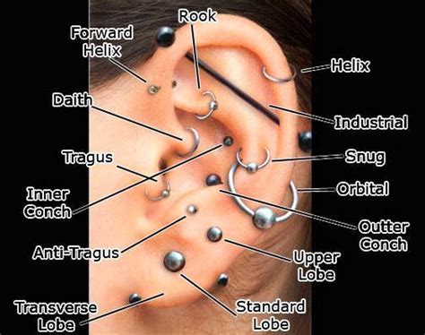 ultimate guide  piercings  placement  aftercare