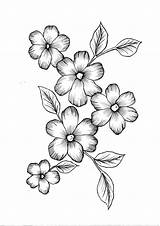 Flowers Flower Drawing Drawings Coloring Pdf Easy Pencil Color Wild Etsy Sketches Pattern Draw Sold Beautiful Time sketch template