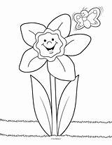 Daffodil Coloring Pages Color Flower Preschool Daffodils Sheets Colouring Printable Mailbox Kids Drawing Parts Plant Crafts Spring Little Getdrawings Theeducationcenter sketch template