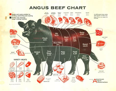 cuts  beef diagrams  print  diagrams