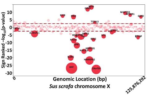 Bubble Plot Of Sscx Versus Placental Gene Expression Download