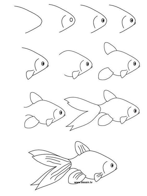 einfach fisch howto einfach fisch howto zeichnen tiere zeichnen
