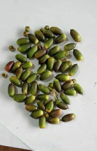 palm seeds wholesale price mandi rate  palm seeds  india
