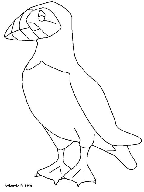 puffin coloring page coloring home