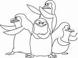 Pinguinos Madagascar Penguins sketch template