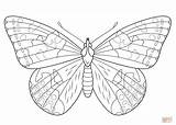 Butterfly Coloring Pages Lady Painted Printable Outline Supercoloring Intricate Super Colouring Color Drawing Print Egg Admiral Puzzle Nature sketch template