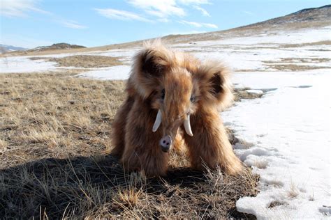 science based   character   pet mammoth worldbuilding