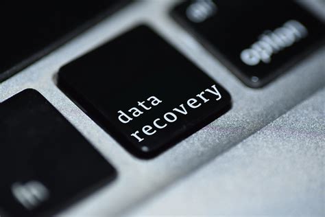 data recovery archives dataone networks