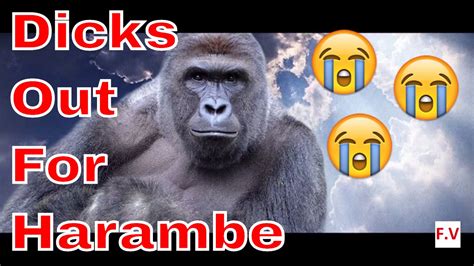 dicks out for harambe tribute song rip harambe youtube