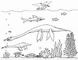 Elasmosaurus Calf sketch template