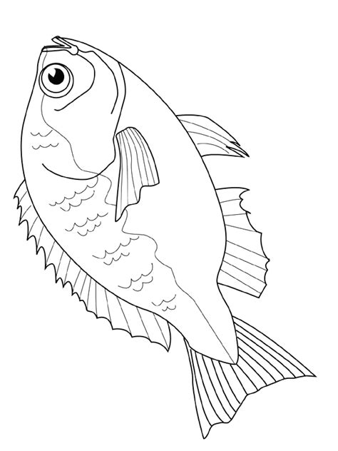 fish coloring pages animal coloring pages fish coloring page fish