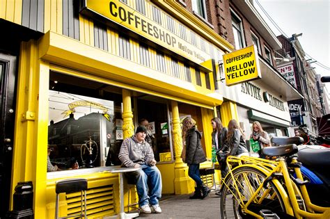 amsterdam mayor says coffee shops will remain open the