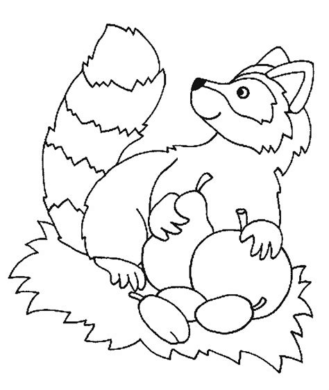 nocturnal animals printable coloring pages coloring pages