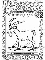 Steenbok Horoscoop sketch template