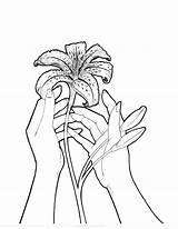 Tiger Coloring Lily sketch template