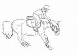 Horse Riding Lineart Girl Drawing Fall Deviantart Getdrawings sketch template