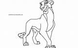 Lion Zira King Coloring Base Pages Deviantart Popular sketch template