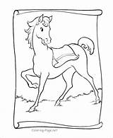 Riding Girl Pages Horse Coloring Getcolorings Little sketch template