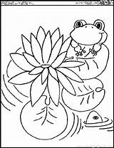 Coloring Pages Monet Lily Claude Frogs Printable Kids Water Color Pad Flowers Lilies Print Outline Drawing Children Pads Flower Clipart sketch template