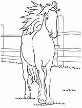 Coloring Horse Pages Quarter Getcolorings Printable Color sketch template