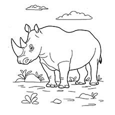 top   printable wild animals coloring pages