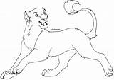 Lioness Coloring Pages Cheetah Drawing Lion King Line Lineart Printable Getdrawings Anime Disney Drawings Library Books Insertion Codes 639px 44kb sketch template