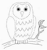 Drawing Owl Dot Dotted Dots Line Easy Kids Connect Worksheet Printables Pdf Printable Drawn Print Getdrawings Today sketch template