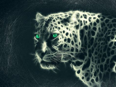 Leopard Fractal Hd Wallpaper Background Image 1920x1440