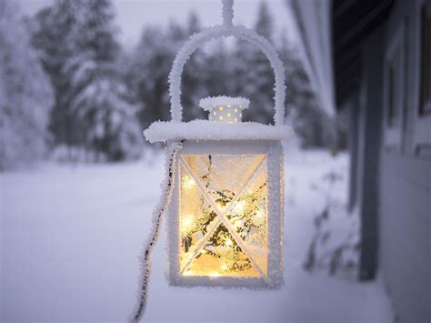 free picture snow tree winter lamp frost frozen ice
