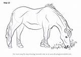 Horse Eating Grass Drawing Draw Step Horses Drawings Drawingtutorials101 Line Sketch Tutorials Animals Learn Getdrawings sketch template