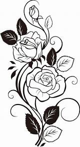 Rose Pages Coloring Vine Flower Tattoo Roses Choose Board Pattern Vines sketch template