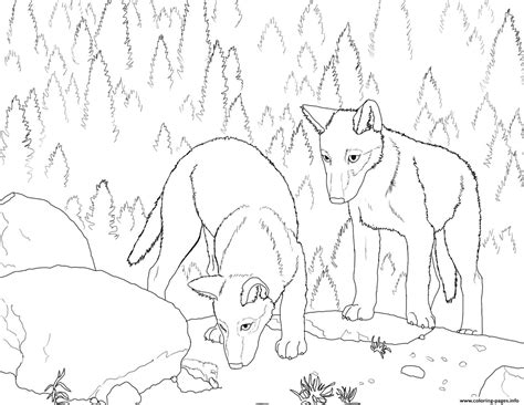 realistic coloring pages  wolves wolf coloring wolves realistic