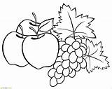 Buah Mewarnai Apel Buahan Sayur Bagus Kartun Pohon Diwarnai Kumpulan Sketsa Anggur Marimewarnai Sayuran Warna Freepix Pemandangan Gambarkakak sketch template