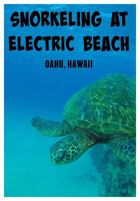 snorkeling  electric beach   dream   time        surrounded