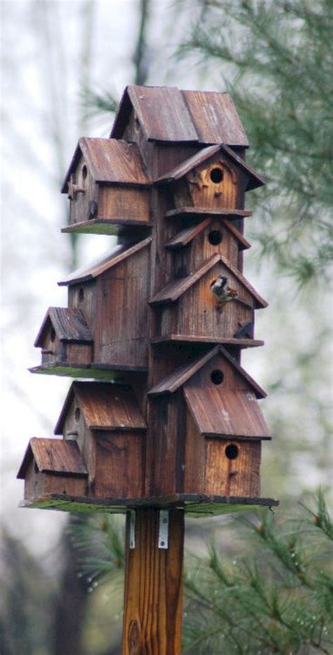 epic  incredible birdhouse ideas    garden  beautiful httpsfreshouzcom