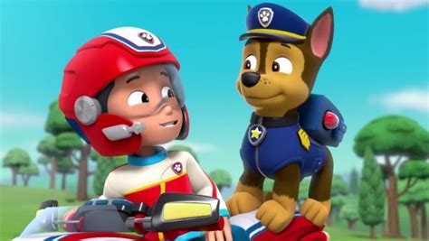 Chase And Ryder Paw Patrol Relation Ship Wiki Fandom