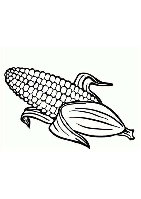 corn stalk coloring page coloring pages corn stalk corn coloring page