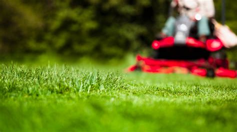 avoid   victim  lawn  garden scams
