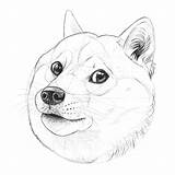 Draw Doge Body Such Tutorial Many Fun Head Step Shading sketch template