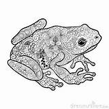 Frog Zentangle Mandala Zentangles sketch template